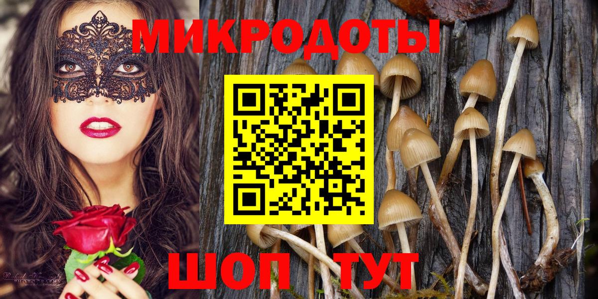 Псилоцибиновые грибы GOLDEN TEACHER  Вход с VPN  Балашиха 