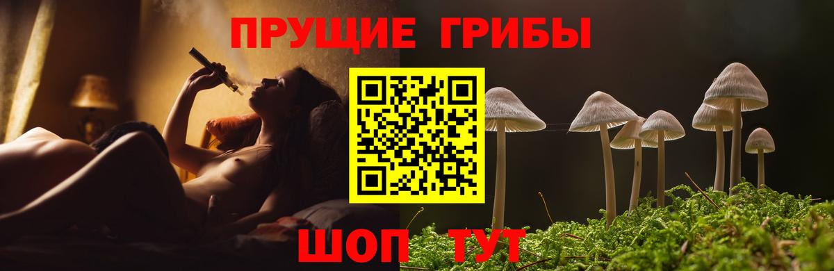 Псилоцибиновые грибы Cubensis Балашиха